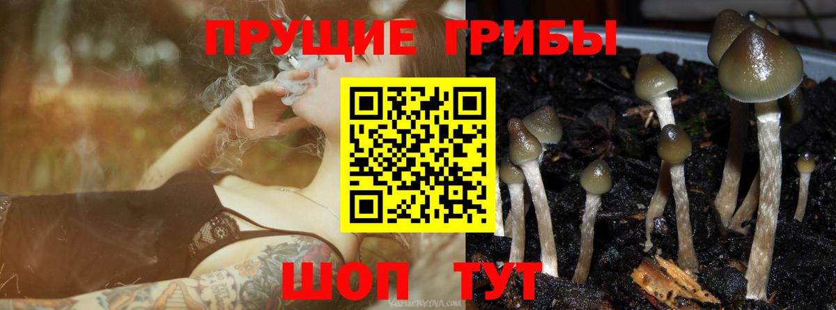 Псилоцибиновые грибы Cubensis  Вход с VPN  Галлюциногенные грибы MAGIC MUSHROOMS  Богородицк 